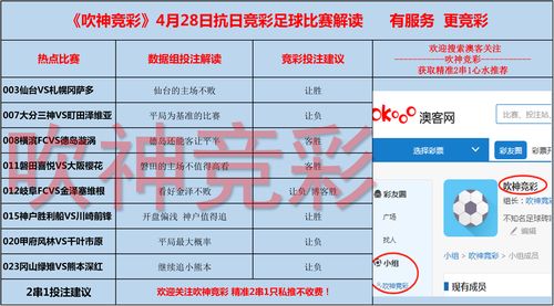 足球比赛实时数据提供