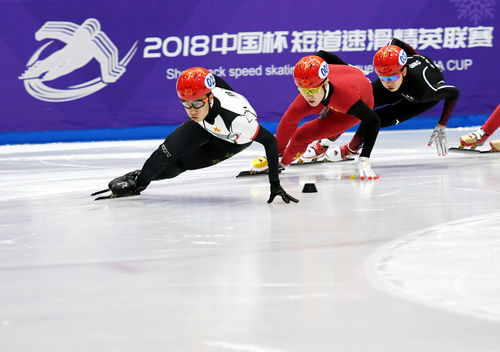 激战平昌全能教练视角，塑造冰雪荣耀——揭秘平昌冬奥会的体育教练角色