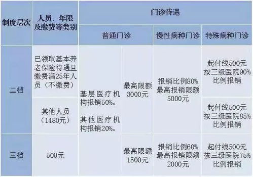 解析医保最新缴费标准，保障升级与公平负担