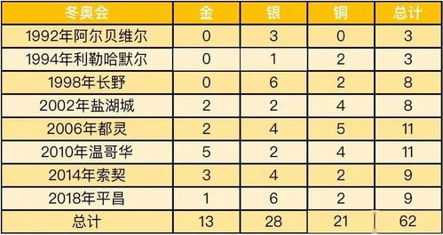 2014年冬奥会奖牌榜，冰雪盛宴中的荣耀与突破