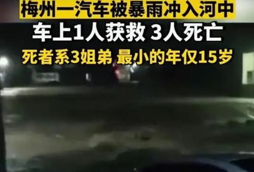 四川失联姐弟已遇难，悲剧背后的警醒与思考