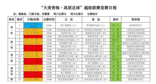 深度解析2012年中国超级足球联赛积分榜，荣耀与挑战的交织