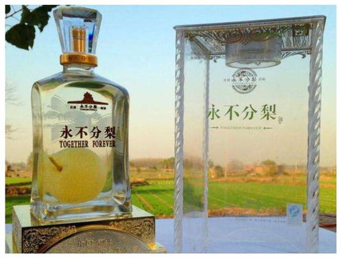 住九天留下的空酒瓶，一场关于生活与情感的深度对话