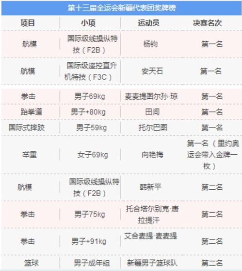 全运会金牌争夺战，荣誉与荣耀的熠熠舞台——解析最新奖牌榜排名