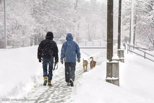 气象局回应成都下雪，雪落锦城，气象解读背后的奥秘