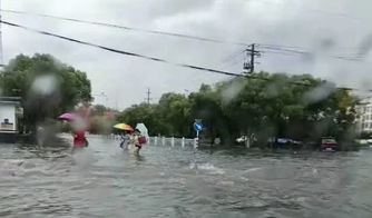 重庆断崖式降温，山城经历巨变，市民体验别样冬日