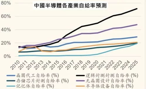 重塑全球篮球格局，世界国家排名深度解析与未来展望