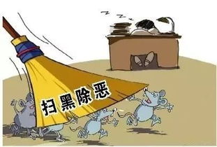 山取矿业公司被责令返还非法开采矿石，一场生态与法律的双重审视