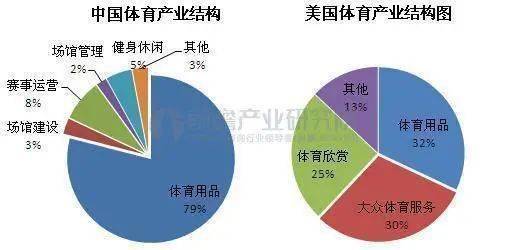 优化运动表现，解析必发交易量，教练视角下的体育投资与策略