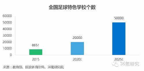 优化运动表现，解析必发交易量，教练视角下的体育投资与策略