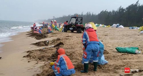 海岸线上的意外发现，居民出海疑捞到水雷引发的安全警示与社区应对