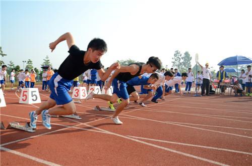 融合力量，德国与乌克兰的体育教育深度探索