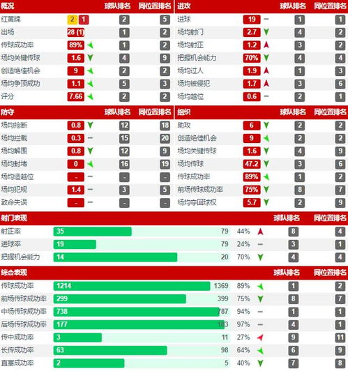中超联赛积分榜深度解析，实力与策略的较量——解读赛季风云变幻