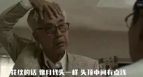 辛瓦尔遗孀罕见曝光，坚韧与爱的背后故事