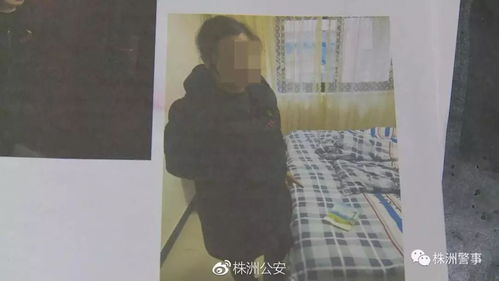 收银员窃20万巨款后下跪道歉，贪婪与悔悟的交织篇章