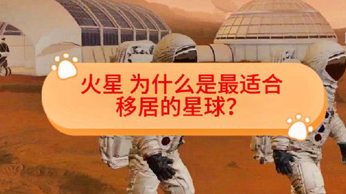 首批太空游船票售罄，人类探索宇宙的新篇章