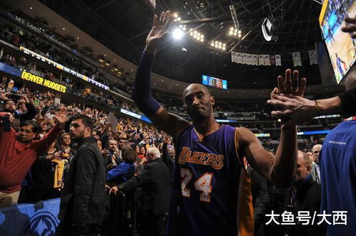 2011年NBA全明星，星光璀璨，历史的荣耀与竞技的盛宴