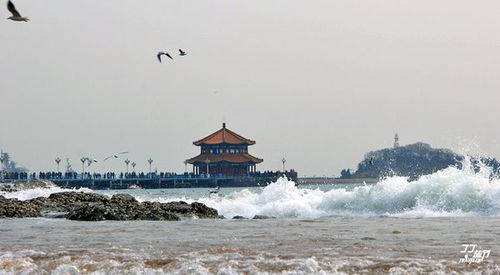 沿海多地海水倒灌，一场自然与人类的较量