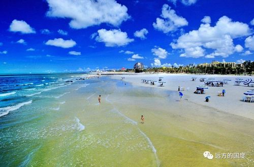 海水灌入北海市区，一场突如其来的自然挑战与城市应对