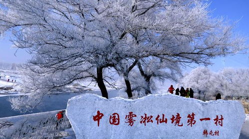 东北的雪要下到发紫，一场关于冬日奇景的深度探索