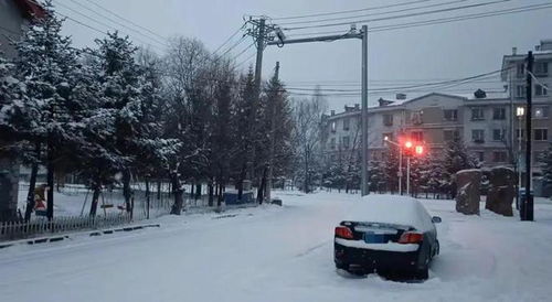 东北的雪要下到发紫，一场关于冬日奇景的深度探索