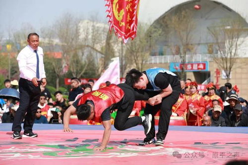 揭秘美国职业摔跤，力量与艺术的交织——一场全球热爱的体育盛宴