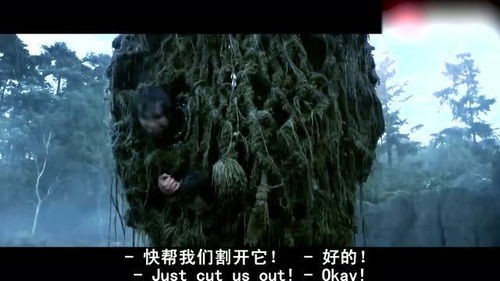 甜蜜陷阱，棒棒糖内藏巨人恐蚁的奇异发现