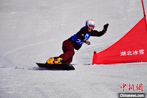 速度与激情揭秘短道速滑女子500米，挑战极限，燃烧青春的冰雪盛宴